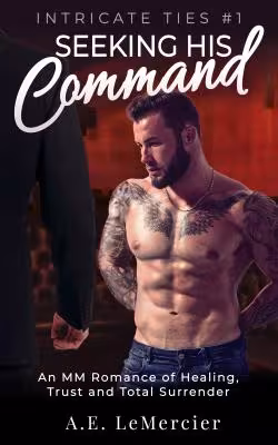 book cover to BDSM hurt/comfort MM romance Seeking His Command